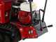 Raupendumper RANGER M570 HD - Honda-Motor GX200