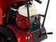Raupendumper RANGER M570 HD - Honda-Motor GX200