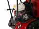 Raupendumper RANGER M570 HD - Honda-Motor GX200