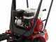 Raupendumper RANGER M570 HD - Honda-Motor GX200