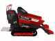 Raupendumper RANGER H570 HDP - Motor Honda GX200