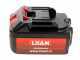 LISAM SG 22 - Akku-Baumpfleges&auml;ge 2X18V 2Ah - Schwert 25 cm