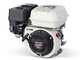 Benzin-Motorpumpe zum Spr&uuml;hen Comet MTP P40/20 SC 4T - Motor Honda GP 160 - f&uuml;r S&auml;uren und Chemikalien