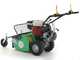 Lampacrescia MGM TTR560 - Schlegelmulcher - Honda-Motor GX160