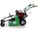 Lampacrescia MGM TTR560 - Schlegelmulcher - Honda-Motor GX160