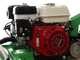 Lampacrescia MGM TTR580/S -Professioneller Schlegelmulcher - Honda Motor GX200