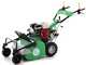 Lampacrescia MGM TTR580/S -Professioneller Schlegelmulcher - Honda Motor GX200