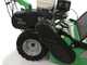 Lampacrescia MGM TTR690 - Professioneller Schlegelm&auml;her  - Honda Motor GX270