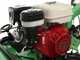 Lampacrescia MGM TTR690 - Professioneller Schlegelm&auml;her  - Honda Motor GX270