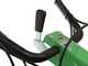 Lampacrescia MGM TTR690 - Professioneller Schlegelm&auml;her  - Honda Motor GX270