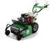 Lampacrescia MGM TTR690 - Professioneller Schlegelm&auml;her  - Honda Motor GX270