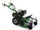 Lampacrescia MGM TTR690 - Professioneller Schlegelm&auml;her  - Honda Motor GX270