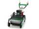 Lampacrescia MGM TTR690 - Professioneller Schlegelm&auml;her  - Honda Motor GX270