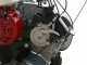 Professioneller Schlegelmulcher Lampacrescia MGM TTR560 - Honda-Motor GX160