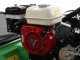 Professioneller Schlegelmulcher Lampacrescia MGM TTR560 - Honda-Motor GX160