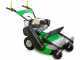 Professioneller Schlegelmulcher Lampacrescia MGM TTR560 - Honda-Motor GX160