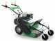 Professioneller Schlegelmulcher Lampacrescia MGM TTR560 - Honda-Motor GX160