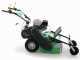 Professioneller Schlegelmulcher Lampacrescia MGM TTR560 - Honda-Motor GX160