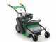 Professioneller Schlegelmulcher Lampacrescia MGM TTR560 - Honda-Motor GX160