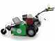 Professioneller Schlegelmulcher Lampacrescia MGM TTR560 - Honda-Motor GX160