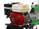 Motorhacke Lampacrescia MGM DL914 - Motor Honda GX200