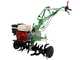 Motorhacke Lampacrescia MGM DL914 - Motor Honda GX200