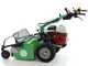 Lampacrescia MGM TTR783 - Professioneller Schlegelmulcher mit Y-Messern - Honda Motor GX270