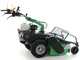 Lampacrescia MGM TTR783 - Professioneller Schlegelmulcher mit Y-Messern - Honda Motor GX270