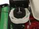 Lampacrescia MGM TTR783 - Professioneller Schlegelmulcher mit Y-Messern - Honda Motor GX270