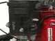 Lampacrescia MGM TTR783 - Professioneller Schlegelmulcher mit Y-Messern - Honda Motor GX270