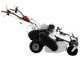 Barbieri G760 - Profi-Schlegelmulcher - Honda GX200