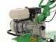 Motorhacke Lampacrescia MGM DL812 -  Honda GP200 Motor