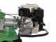 Motorhacke Lampacrescia MGM DL812 -  Honda GP200 Motor