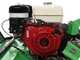 Lampacrescia MGM TTR790 - Professioneller Schlegelmulcher mit Y-Messern - Honda Motor GX270
