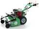 Lampacrescia MGM TTR790 - Professioneller Schlegelmulcher mit Y-Messern - Honda Motor GX270