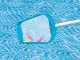 Pool-Reinigungsset Intex 28002