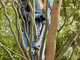 Gardena EasyCut 110/18V P4A - Akku-Baumschere - 18V 2Ah