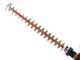 Akku-Heckenschere Worx Nitro WG286E - 2x 20V 2Ah - 60 cm Schwert aus Stahl