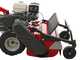 Ginko TT790 - Profi-Schlegelmulcher - Honda-Motor GX270