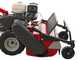 Ginko TT790 - Profi-Schlegelmulcher - Honda-Motor GX270