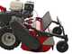 Ginko TT790 - Profi-Schlegelmulcher - Honda-Motor GX270