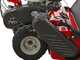Ginko TT790 - Profi-Schlegelmulcher - Honda-Motor GX270