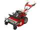 Ginko TT790 - Profi-Schlegelmulcher - Honda-Motor GX270