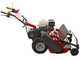 Ginko TT790 - Profi-Schlegelmulcher - Honda-Motor GX270