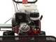 Ginko TT790 - Profi-Schlegelmulcher - Honda-Motor GX270