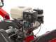Ginko TT790 - Profi-Schlegelmulcher - Honda-Motor GX270