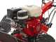 Ginko TT790 - Profi-Schlegelmulcher - Honda-Motor GX270