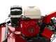 Ginko TT790 - Profi-Schlegelmulcher - Honda-Motor GX270