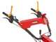 Ginko TT790 - Profi-Schlegelmulcher - Honda-Motor GX270