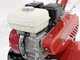 Benassi BL 6000 &ndash; Benzin-Motorhacke mit 5,5 PS &ndash; Honda GX 160 Motor